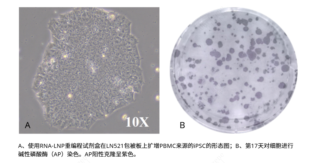 /upload/202510/13/202510131316259169.png /upload/202510/13/202510131316259169.png